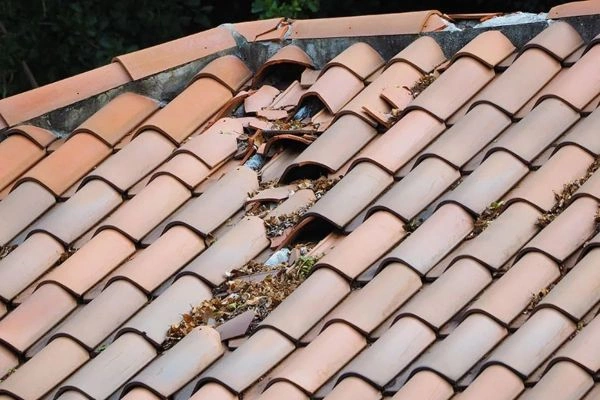IMPAM Impermeabilizaciones Pamplona - Arreglo y reparación de goteras